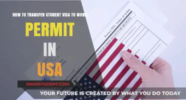 Navigating the Path: Student Visa to Work Permit in the USA