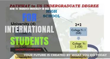 Transferring Universities: A Guide for International Students in the US