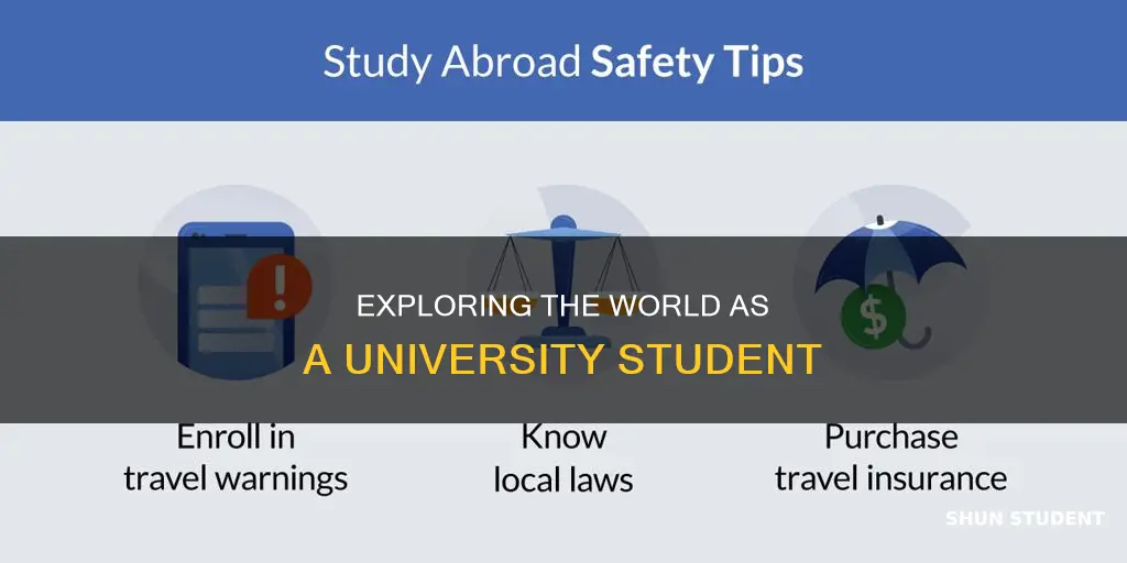how to travel as a university student