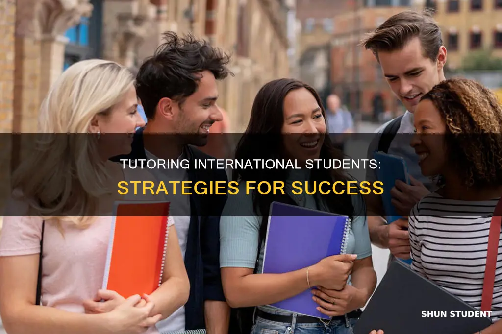 how to tutor international students