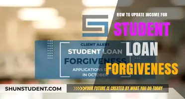Updating Income for Student Loan Forgiveness: A Step-by-Step Guide