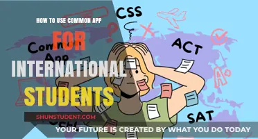 International Students: Using Common App to Your Advantage