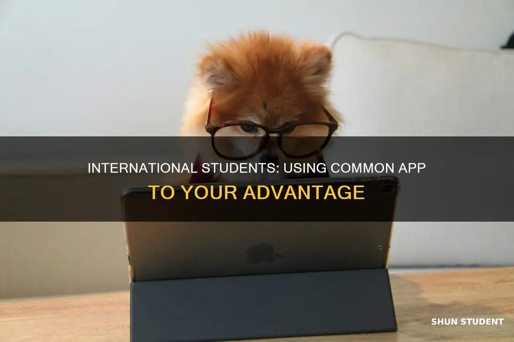 how to use common app for international students