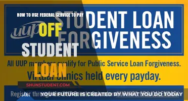 Leverage Federal Service to Eliminate Your Student Loan Debt Fast