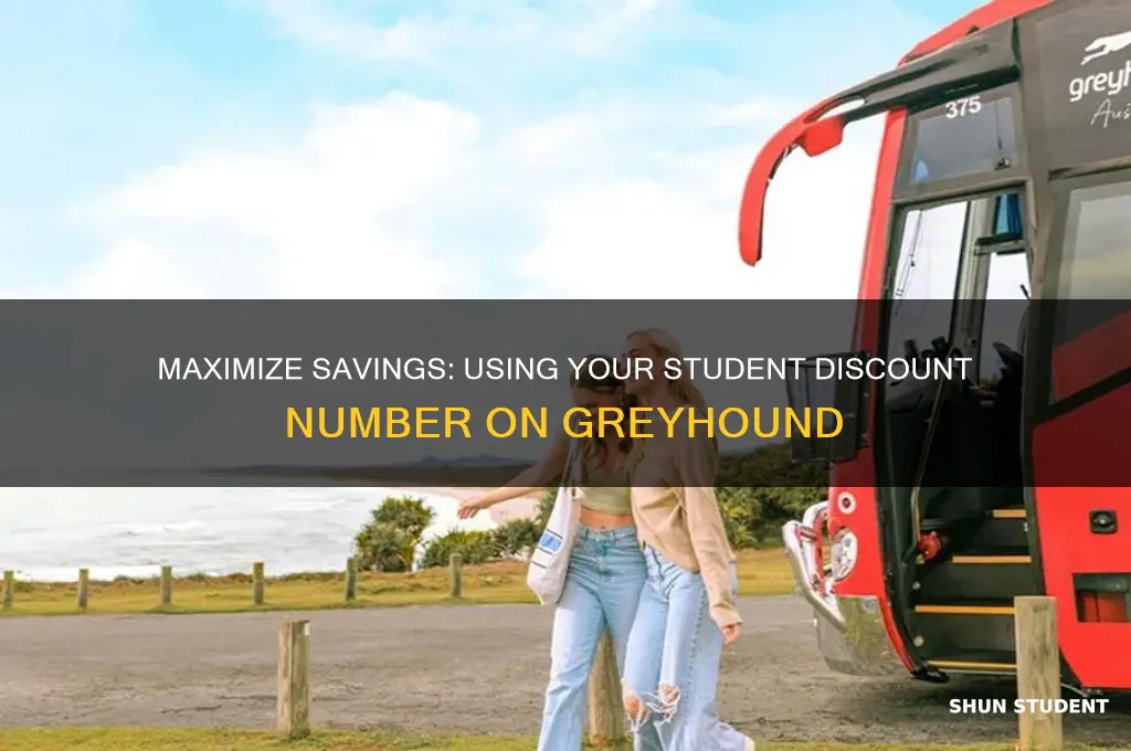 how to use student discount number greyhound