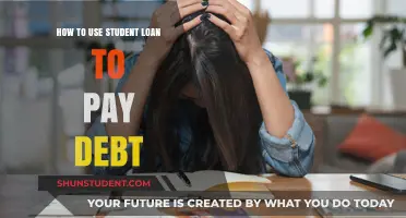 Smart Strategies: Using Student Loans to Pay Off Existing Debt