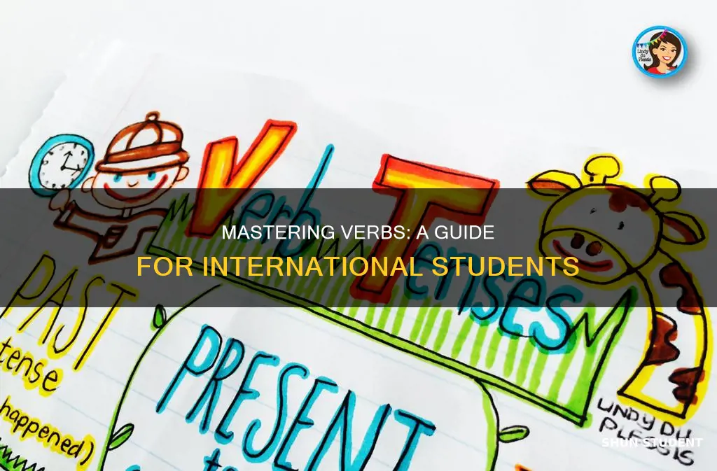 how to use verbs for international students
