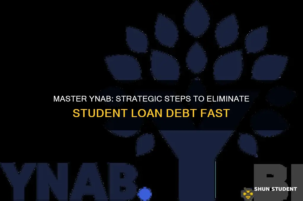 how to use ynab to pay off student loans