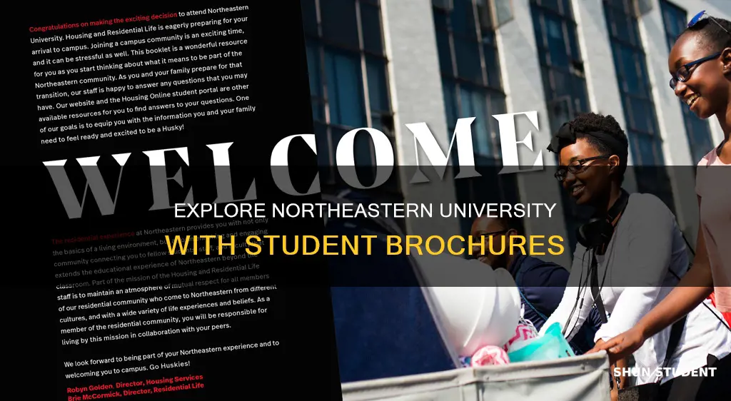 how to view student brochures northeastern university