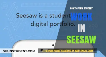 Exploring Student Creations: A Guide to Viewing Work in Seesaw