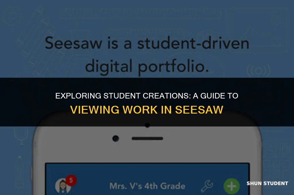 how to view student work in seesaw