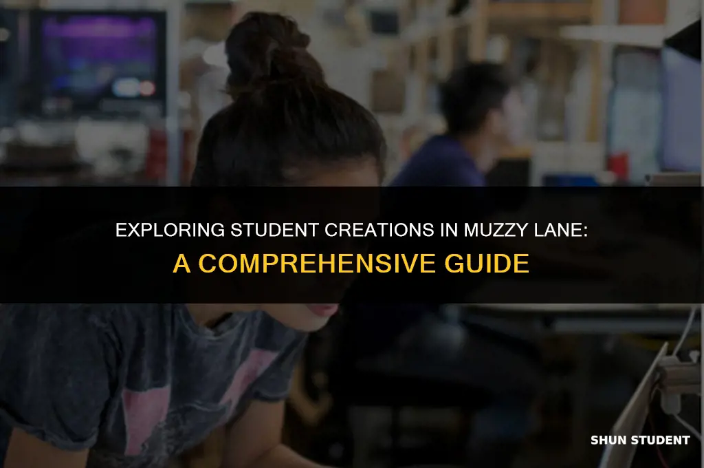 how to view students work in muzzy lane