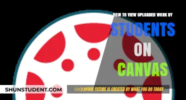 Exploring Student Submissions on Canvas: A Comprehensive Guide