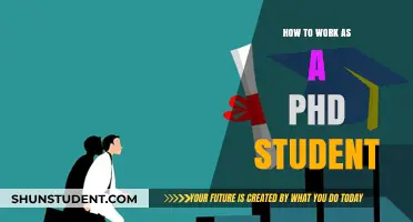 Navigating the PhD Journey: Tips for Success as a Graduate Student