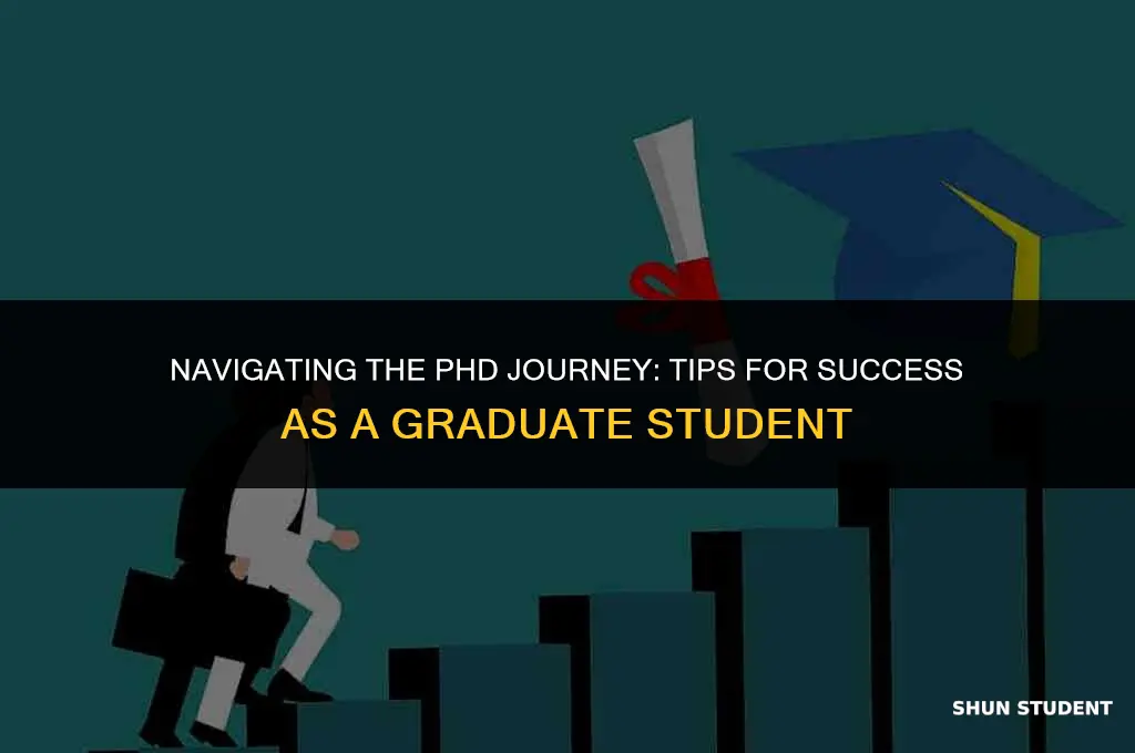 how to work as a phd student