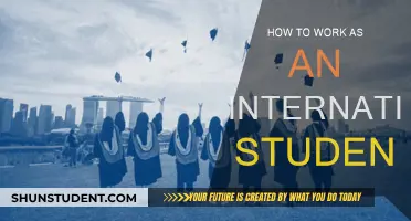 International Students: Working Abroad, a Guide