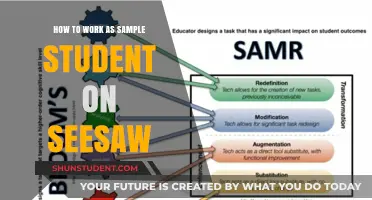 Exploring Seesaw: A Student's Guide to Collaborative Learning