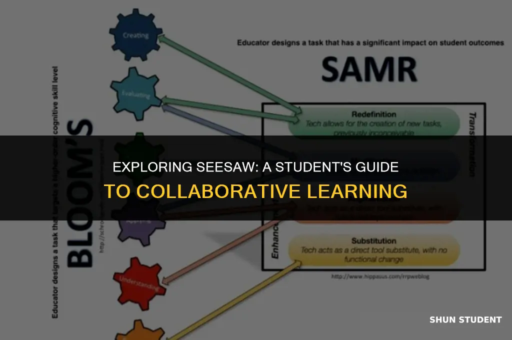 how to work as sample student on seesaw