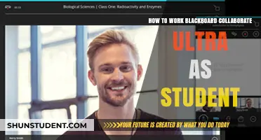 Mastering Blackboard Collaborate Ultra: A Student's Guide