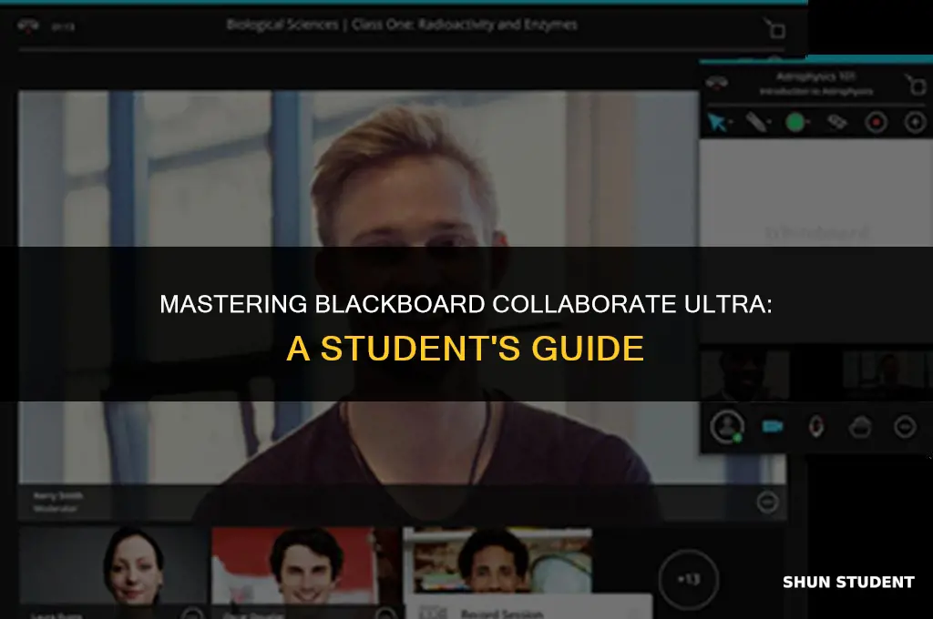 how to work blackboard collaborate ultra as student