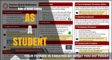 Mastering Canvas: A Student's Guide to Success