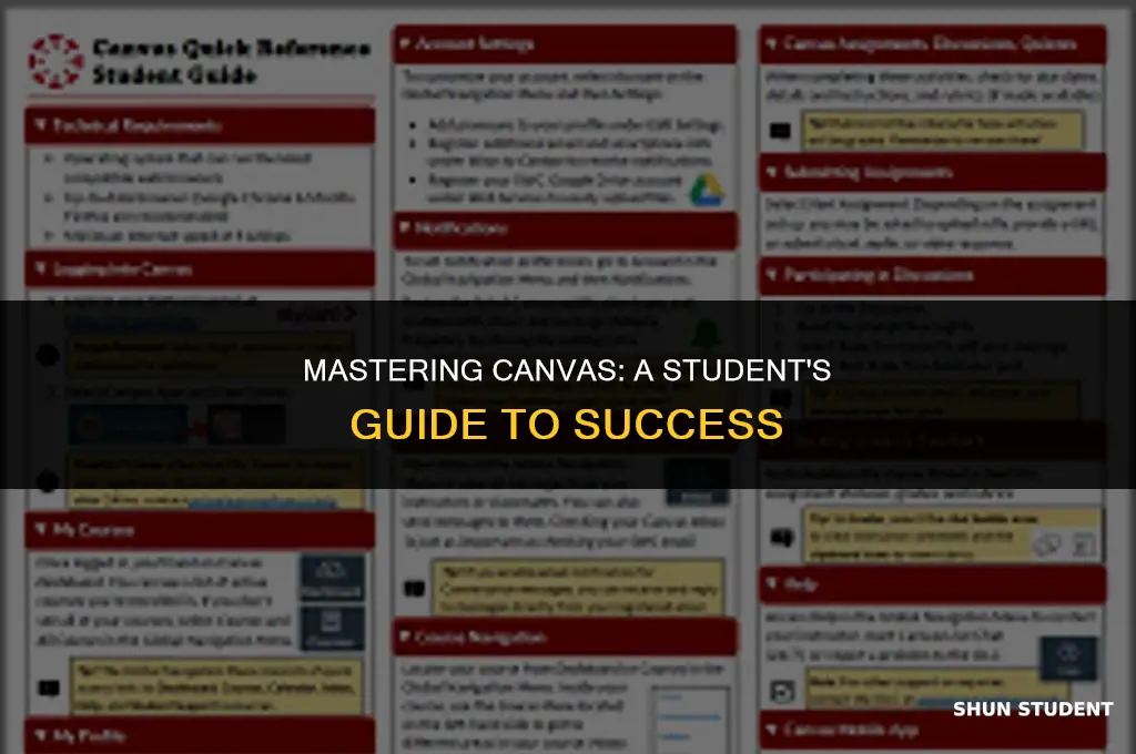 how to work canvas as a student
