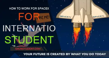 SpaceX Employment: A Guide for International Students