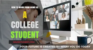 Balancing College Life: A Guide to Productive Remote Work for Students