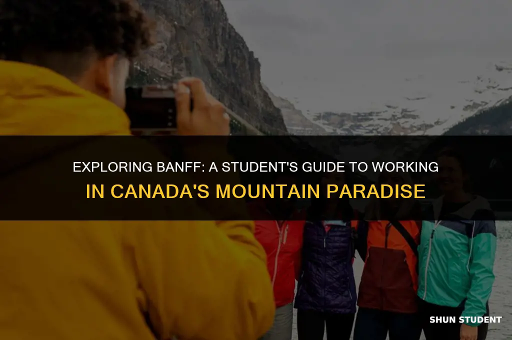 how to work in banff as a student