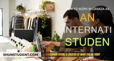 Working in Canada: International Student's Guide
