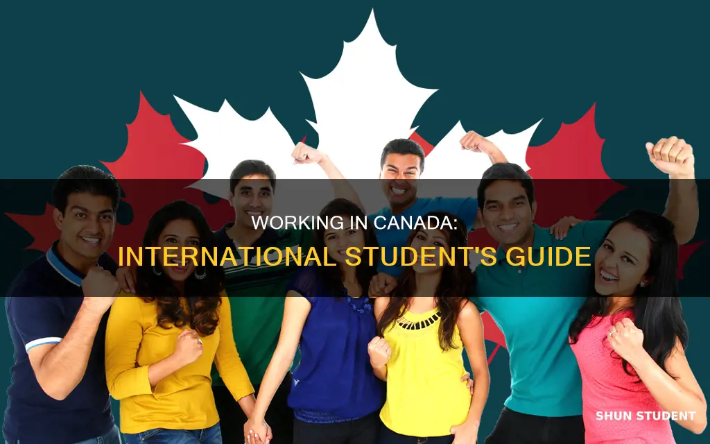 how to work in canada as an international student