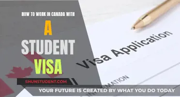 Unlocking Opportunities: A Guide to Working in Canada on a Student Visa
