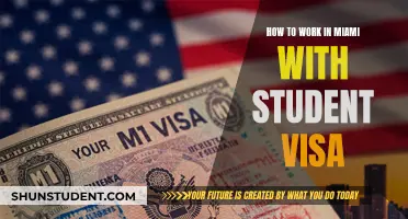 Exploring Miami: A Guide to Working on a Student Visa
