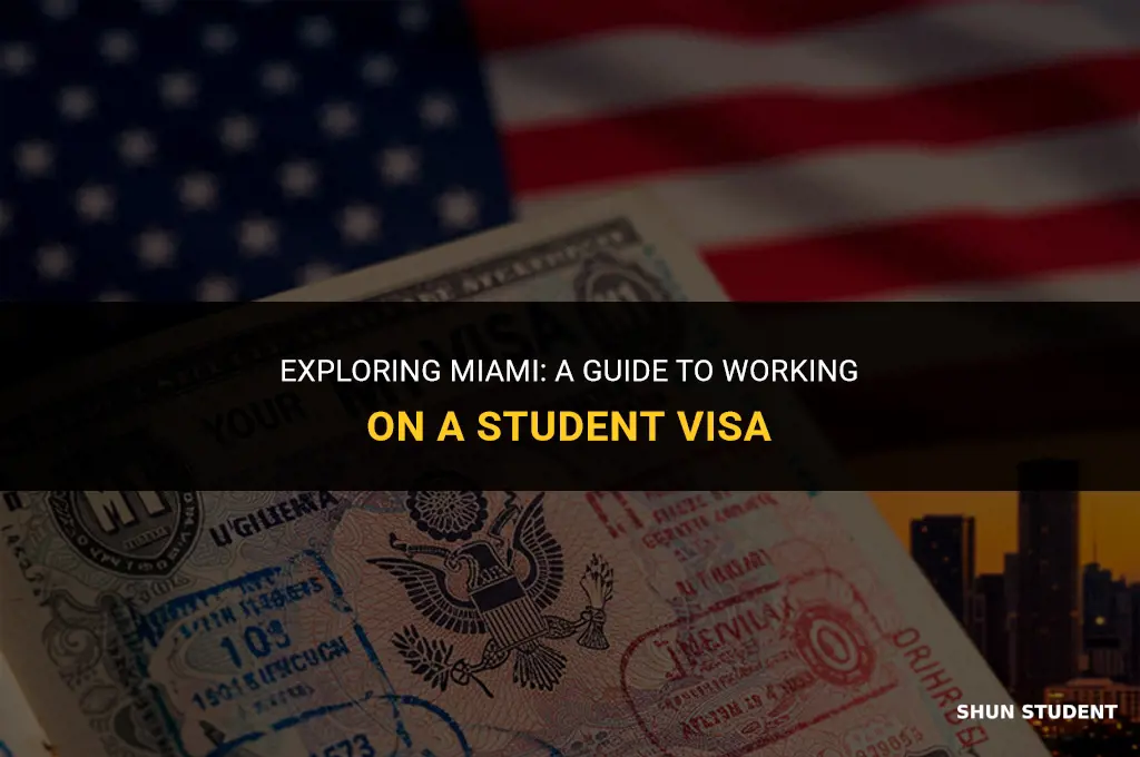how to work in miami with student visa