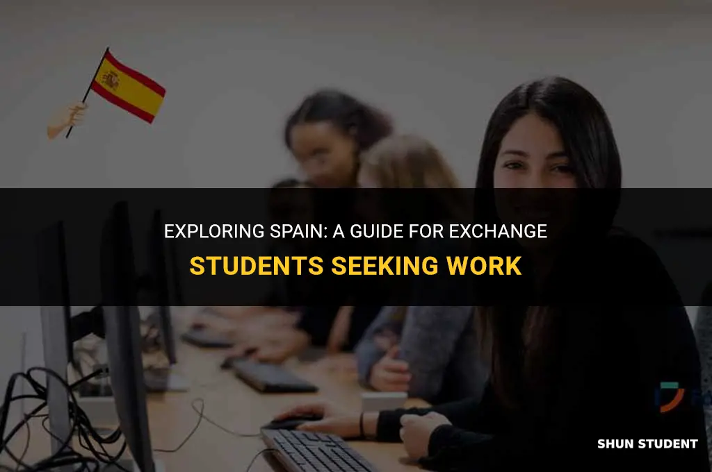 how to work in spain as an exchange student