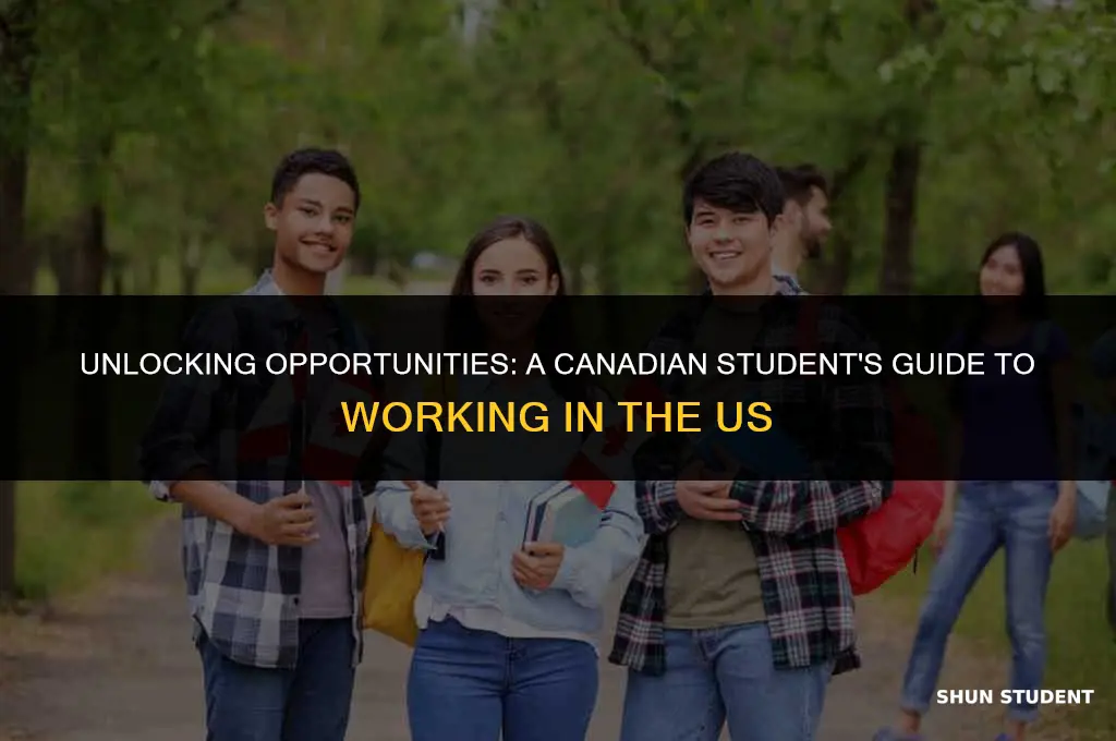 how to work in the us as a canadian student