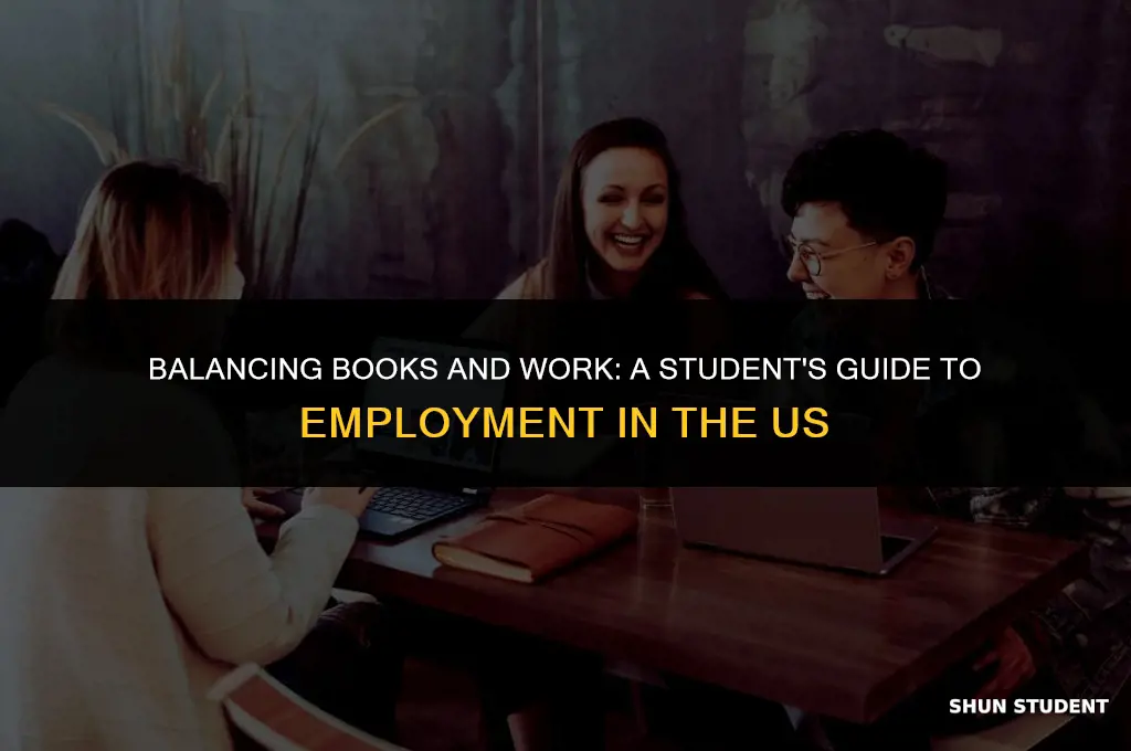 how to work in the us being a student