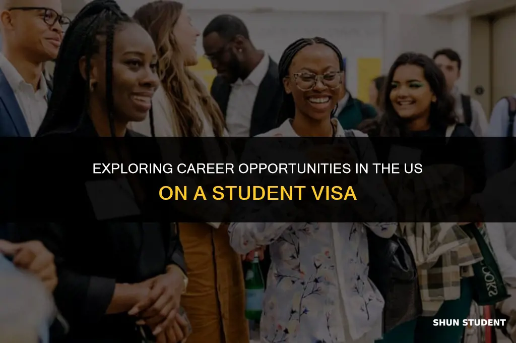 how to work in the us with a student visa