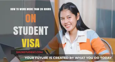 Maximizing Your Student Visa: Strategies for Working Over 20 Hours