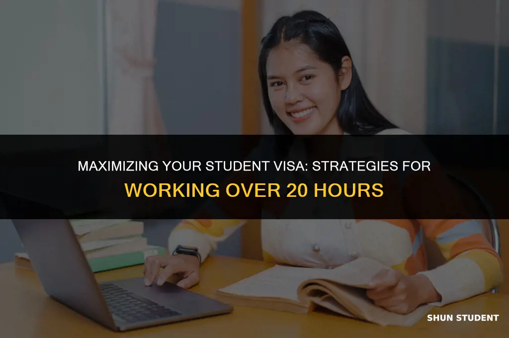 how to work more than 20 hours on student visa
