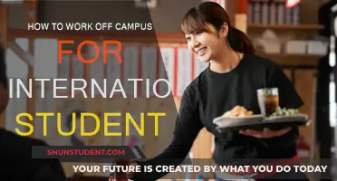 Working Off-Campus: A Guide for International Students
