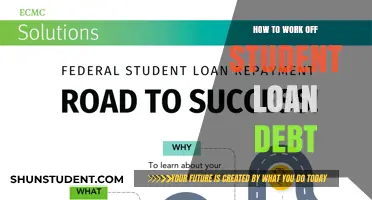 Strategic Steps to Conquer Your Student Loan Debt