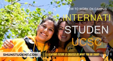 International Students: Working On-Campus at UCSC