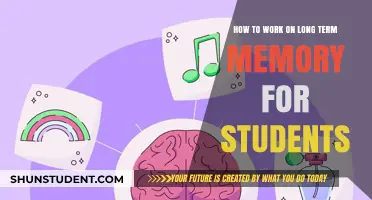 Boosting Long-Term Memory: Effective Strategies for Students