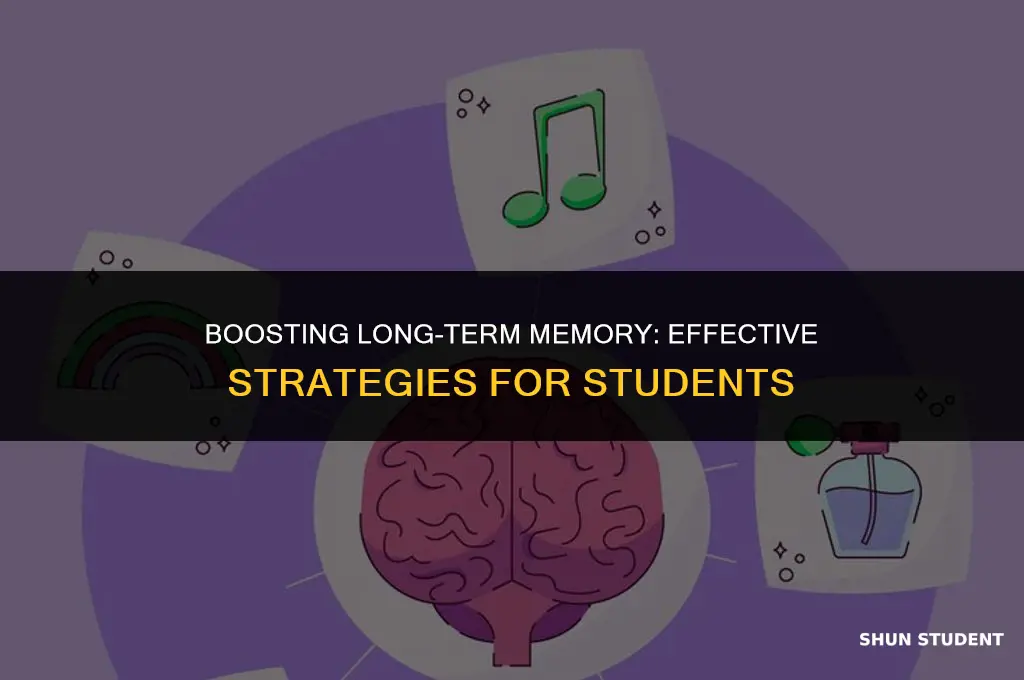 how to work on long term memory for students