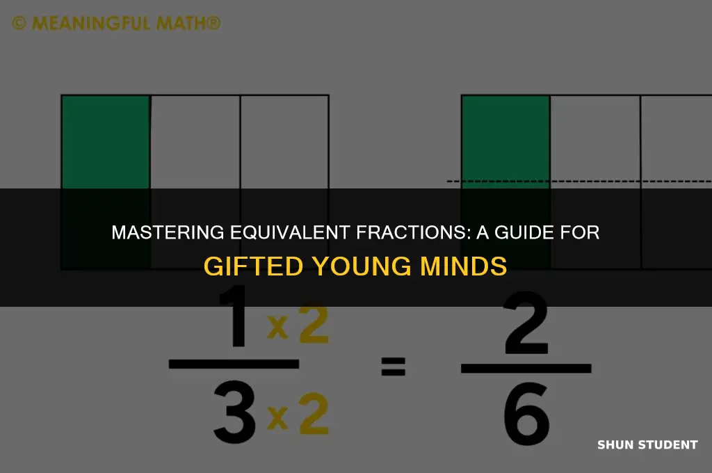 how to work out equivalent fractions for gifted students