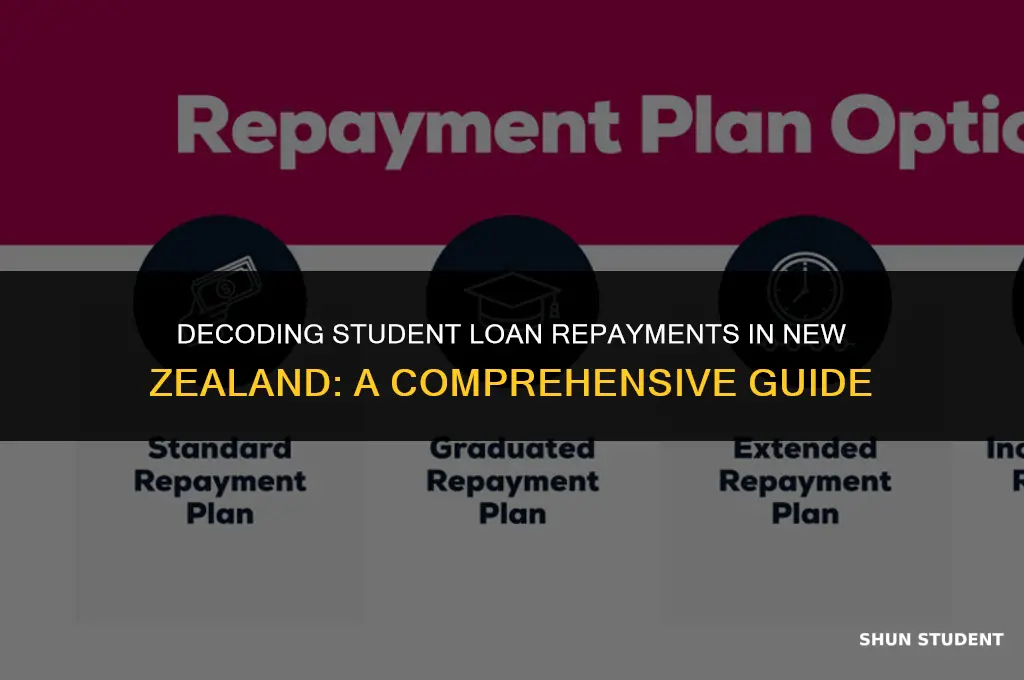 how to work out student loan repayments nz