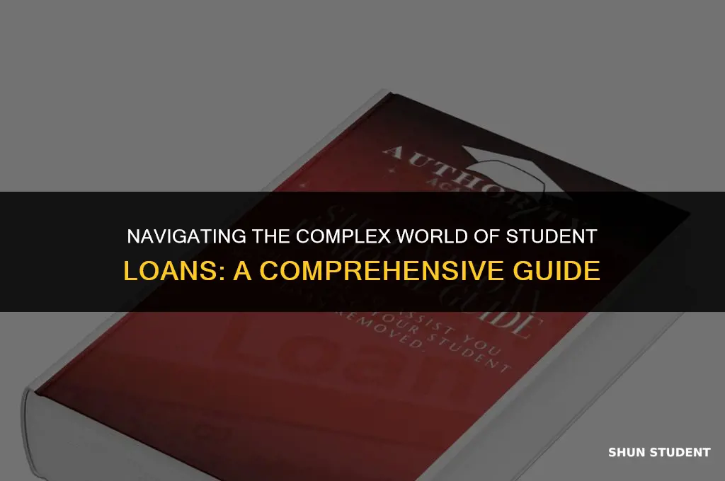 how to work the system student loans