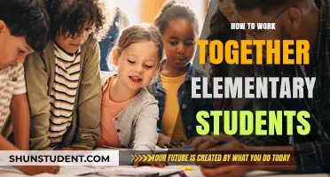 Collaborative Learning: Empowering Elementary Students to Work Together