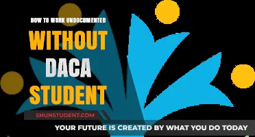 Navigating Education and Employment Without DACA: A Student's Guide